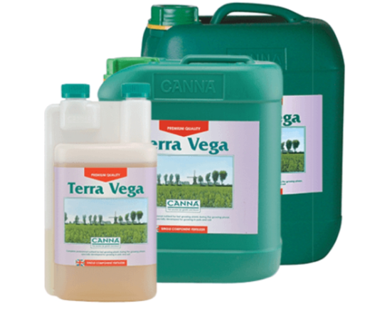 Canna Terra Vega