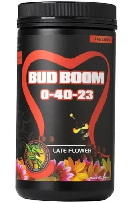 Bud Boom π₯