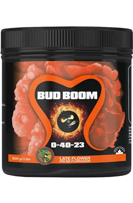 Bud Boom π₯