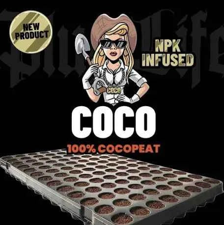 Plug Life Coco Propagation Plugs