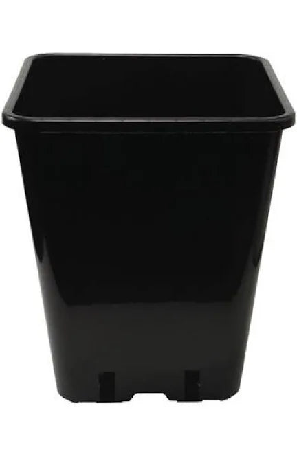 Square Pots