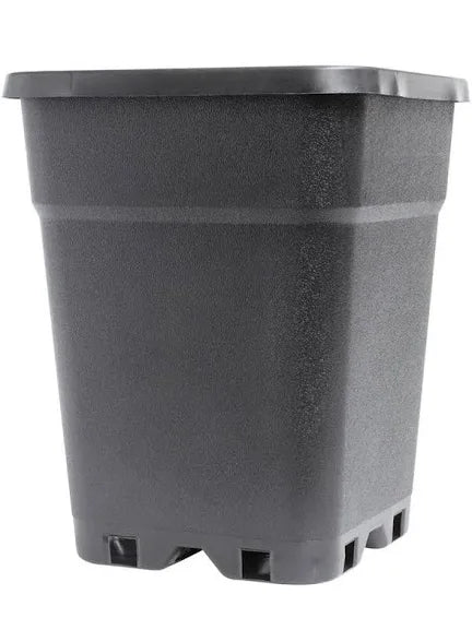 Square Pots