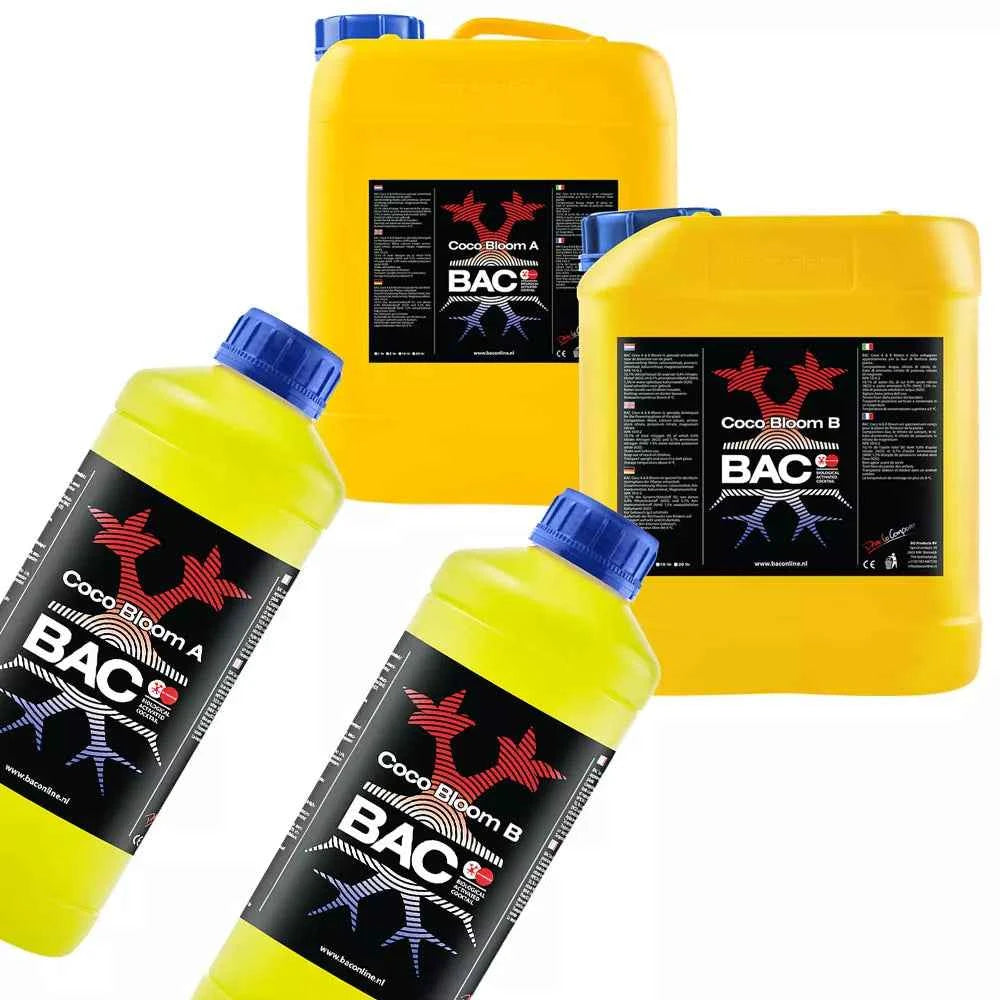 BAC Coco Bloom A & B