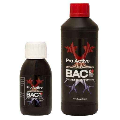 BAC Pro Active