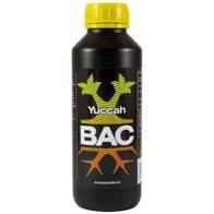 BAC Yuccah