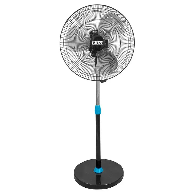 Summer Fans