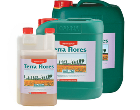 Canna Terra Flores