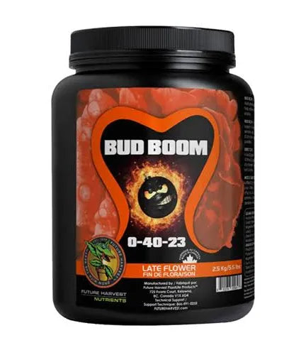Bud Boom 💥