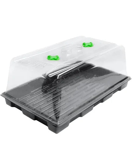 ROOT !T Propagator