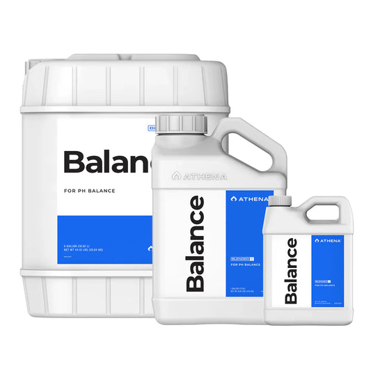 Athena Balance (Blended)