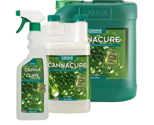 Canna Cure