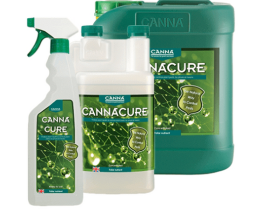 Canna Cure