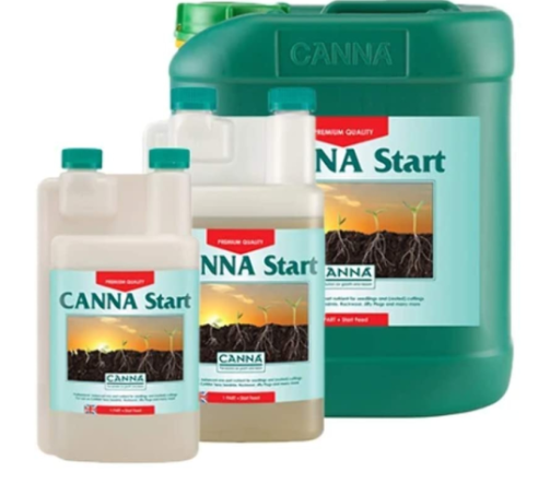 Canna Start