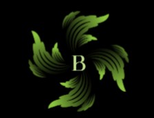 Bradford Hydroponics