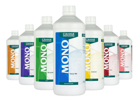 Canna Mono